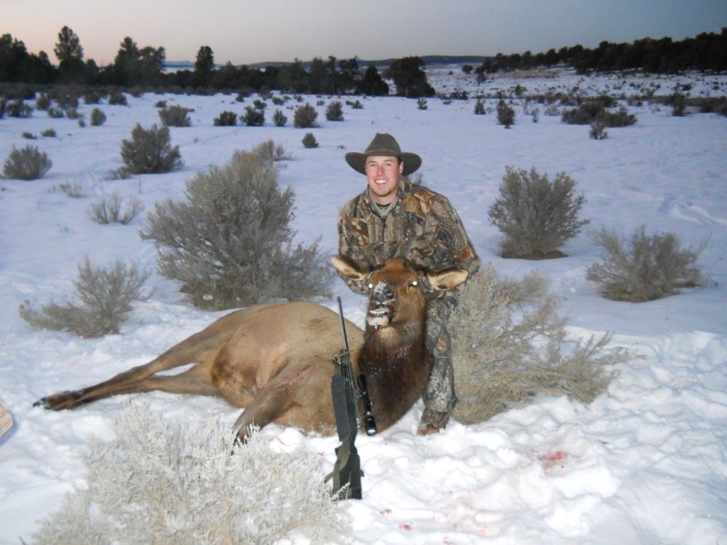 15.elk hunt Wolf Creek Outfitters WCO Cattle